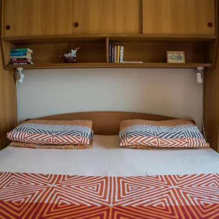 Ela * スティヴァン