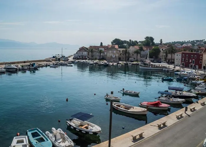 Ela スティヴァン